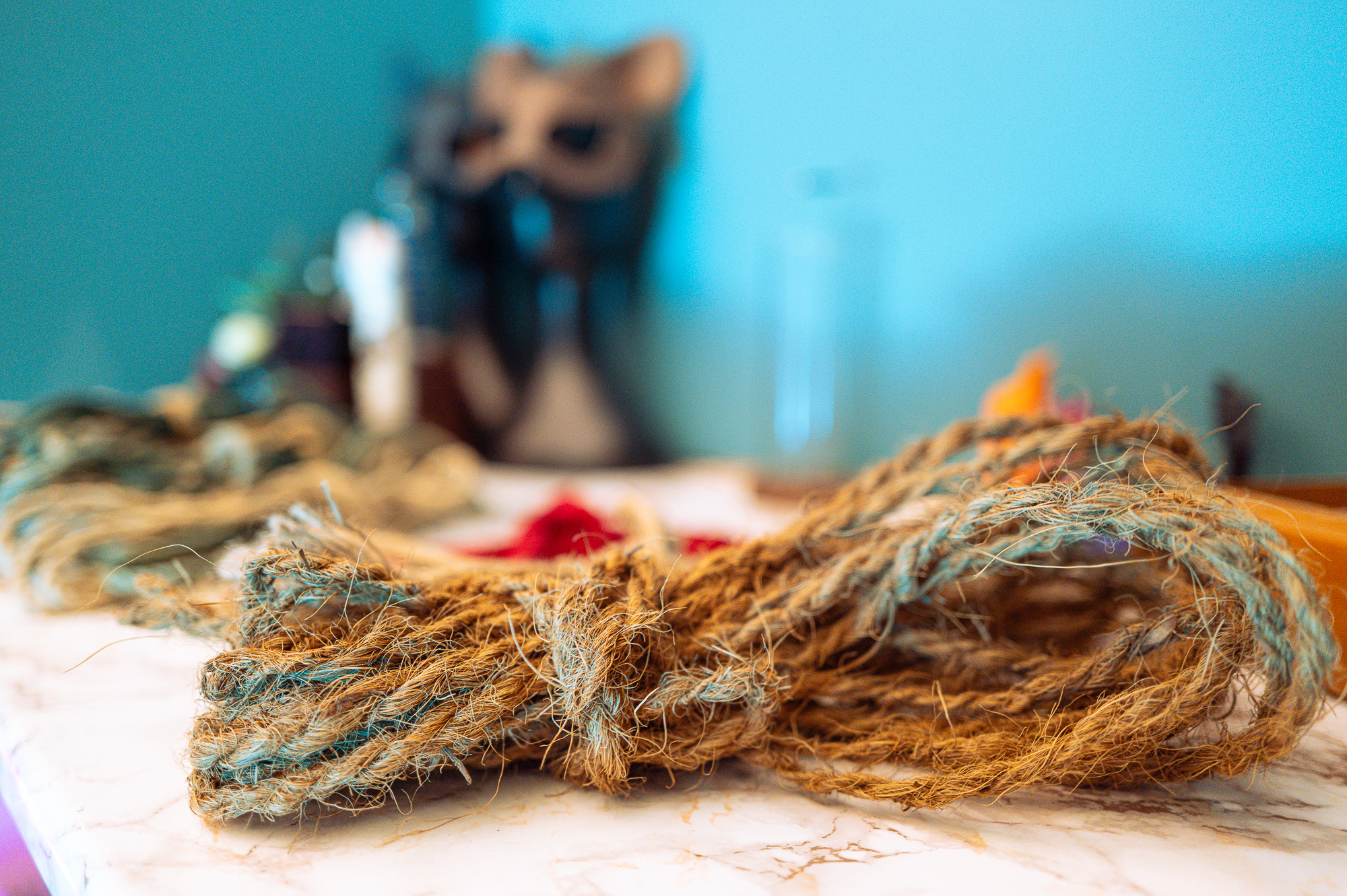 A detail view of rope textures and soft seating in The Nest.